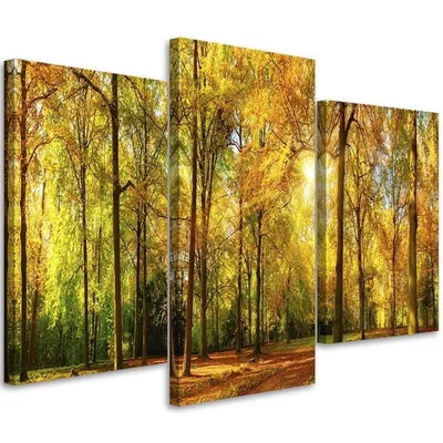 Image de Triptyque sur toile Automne dans la forêt 150 x 100 cm Feeby jaune Tableau mural prêt à accrocher