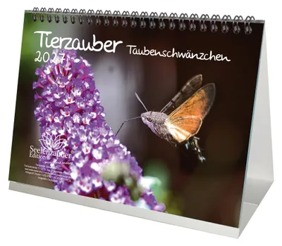Produktbild von Tierzauber Taubenschwänzchen DIN A5 Tischkalender für 2027 - Seelenzauber