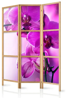 Obrázok produktu pre Muralo, japonský paravent, 3-dielny, predelenie miestnosti, skladacie, kvalitná textília, motív orchideí, vhodný do obývačky, rozmer 135x172 cm