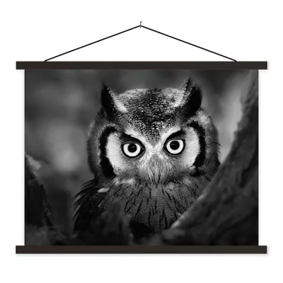 Produktbild von MuchoWow® Textilposter Vogel - Eule - Porträt - Schwarz - Weiß 150x113 cm mit schwarzem Rahmen - Wohnzimmer