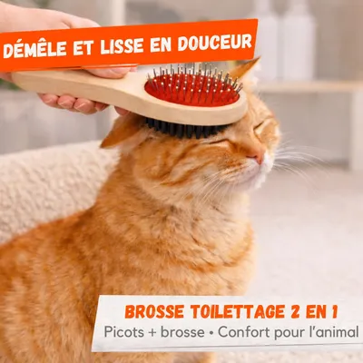 Image de Brosse Toilettage Chien Chat – 2 en 1 Démêlante et Lissante