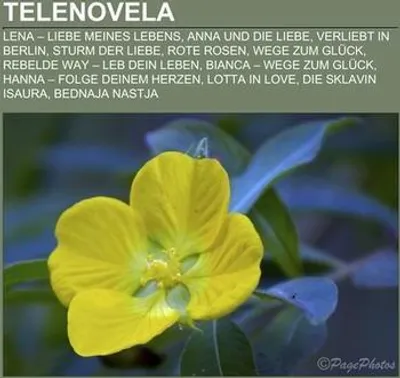 Immagine prodotto di Telenovela