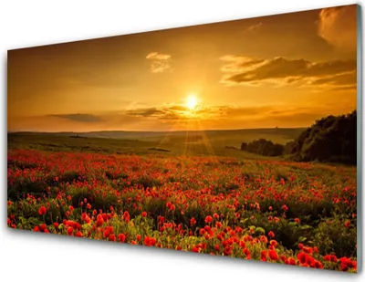 Produktbild von Acrylglasbilder 100x50 Wandbild Druck See Wiese Blumen Natur