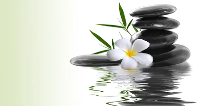 Produktbild von Tulup® Leinwandbild - 140x70 cm - Wandkunst - Drucke auf Leinwand - Leinwanddruck  - Blumen & Pflanzen - Weiß - Zen Steine