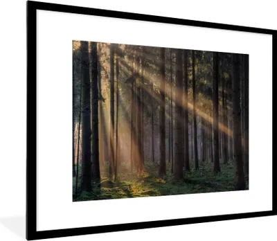 Produktbild von MuchoWow® Gerahmtes Poster Bäume - Wald - Sonne - Pflanzen 80x60 cm - Poster mit Schwarzem Bilderrahmen Wandposter Rahmen Foto Bilder - Schlafzimmer-Dekorationen - Fotoposter