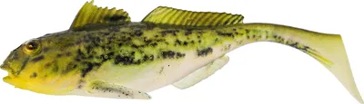 Image de Westin Gunnar the Goby R2F - Poisson caoutchouc, Couleur:Headlight Goby, Poids / Longueur / Taille d'hameçon:12g / 8cm / Gr. 1/0