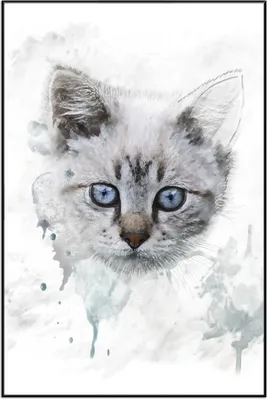Produktbild von Wallario Wandbild Katze in Wasserfarben gemalt, Größe: 61 x 91,50 cm, Poster mit schwarzem Aluminiumrahmen