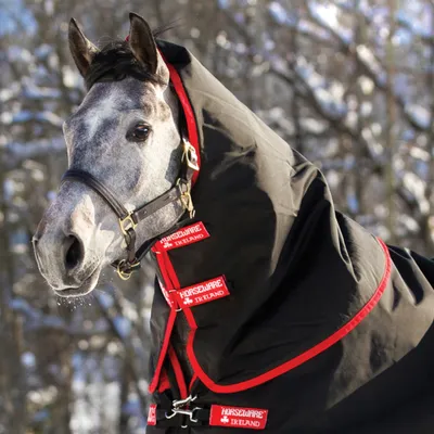 Produktbild von Horseware Rambo Supreme Hood 250g - Black/Red