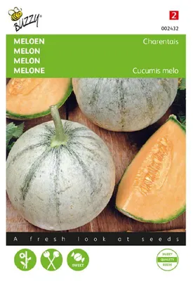 Produktbild von Melone Charentais | Melonensamen von Buzzy Seeds