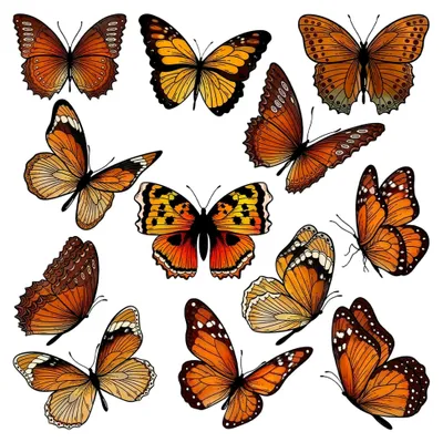 Produktbild von 12 transparente Schmetterlingsstempel für Bastelprojekte, Scrapbooking und Kartenherstellung