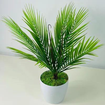 Produktbild von Künstliche Palme Topfblume 54 cm