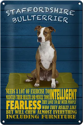 Produktbild von Blechschild Spruch 20x30cm Staffordshire Bullterrier Hund