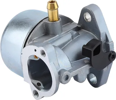 Image de Carburateur pour 497586 498170 799868 498254 497314