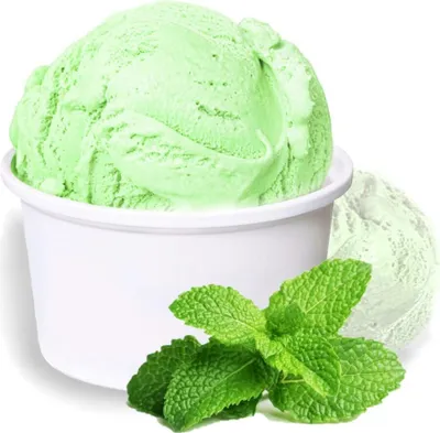 Immagine prodotto di Gelato in polvere alla menta piperita low carb vegano senza zucchero e senza lattosio 333 g