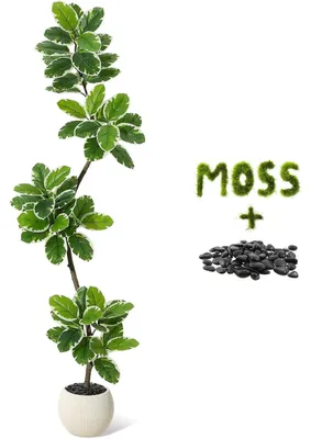 Produktbild von Künstlicher Geigenfeigenbaum - Kunstpflanze - 180 cm - PE-Material - Topf - Bodenmodell - Für den Außenbereich