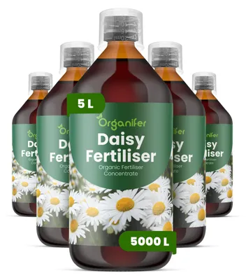 Obrázok produktu pre Sedmokráska, tekuté hnojivo, 5 x 1 liter – vzorec NPK 2-1-8 – pre kvitnúce rastliny – pre zdravé listy a bohaté kvitnutie – podporuje rast koreňov a vitalitu – organické hnojivo