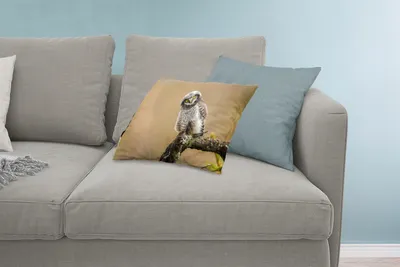 Produktbild von MuchoWow® Zierkissen Sofakissen Wohnzimmer Dekokissen 60x40 cm Jungtiere - Sperberkauz - Zweig - Kopfkissen - Polster mit Foto