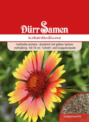 Produktbild von Dürr-Samen - Kokardenblume dunkelrot mit gelben Spitzen mehrjährig - Saatgut - 0822