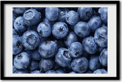 Produktbild von Bild 60x40 MDF-Rahmen, Wandkunst Blaubeeren