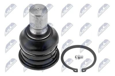 Produktbild von NTY Traggelenk Hinten Unten für NISSAN Pathfinder III (R51) ZST-NS-000