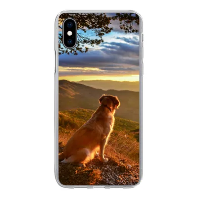 Produktbild von MuchoWow® Handyhülle Schutzhülle Hülle für iPhone Xs Ein Golden Retriever beobachtet den Sonnenuntergang Silikon Softcase Handy Hülle - Handytasche