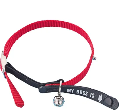 Produktbild von Nobby 78038-01, Katze, Standardkragen, Rot, Nylon, Einfarbig, 20 cm