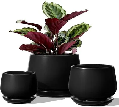 Produktbild von Famanu Keramische Blumentöpfe Set von 3 mit Abflussloch und Unterteller - Schwarz