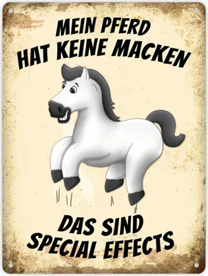Produktbild von Metallschild XL mit weißes Pferd Motiv und Spruch: Mein Pferd hat keine Macken,