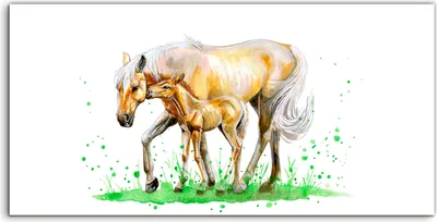 Produktbild von Coloray Acrylbild 140x70  Wandbild Acrylbilder Aquarellpferd mit Fohlen auf Gras