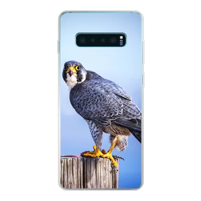 Produktbild von MuchoWow® Handyhülle Schutzhülle Hülle für Samsung Galaxy S10 Plus Nahaufnahme eines Raubvogels auf einer dicken Holzstange Silikon Softcase Handy Hülle - Schutzhülle