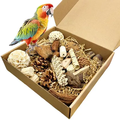 Image de Jouets pour oiseaux, jouets pour perroquets, jouets à mâcher, matériaux naturels pour perruches, canaris et autres oiseaux