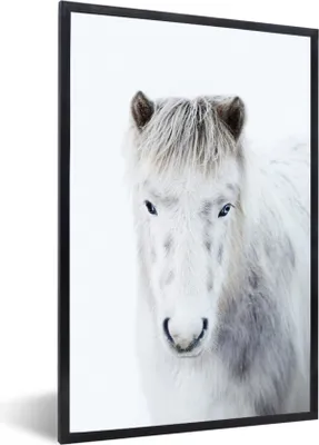 Produktbild von MuchoWow® Gerahmtes Poster Pferd - Schnee - Weiß 60x90 cm - Poster mit Schwarzem Bilderrahmen Wandposter Rahmen Foto Bilder - Kunst