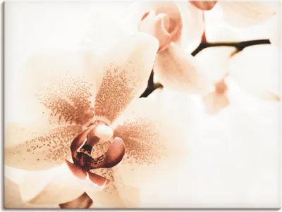 Produktbild von ARTland Leinwandbild Orchidee abstrakte Collage I Größe: 80x60 cm
