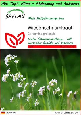 Produktbild von SAFLAX Garden to go - Wiesenschaumkraut - Cardamine pratensis - 100 Samen - Mit Topf, Klima - Deckel und Anzuchtsubstrat