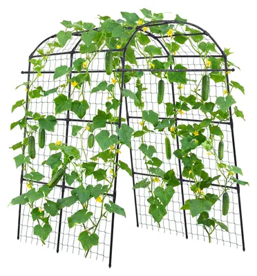 Image de Tuteur VEVOR, treillis, support pour plantes grimpantes avec filet, arche de jardin, treillis, arche métallique pour plantes grimpantes d'extérieur, pois, haricots, courgettes, tomates, courges, fleurs (180 x 112 x 210,8 cm)