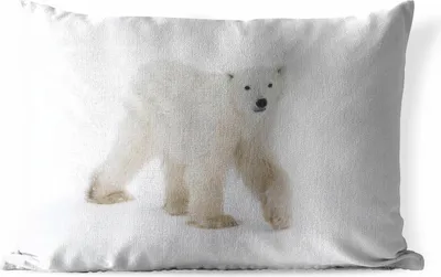 Produktbild von MuchoWow® Outdoor Kissen - Eisbär - Schnee - Weiß - 60x40 cm - Wetterfest - Lounge Kissen - Zierkissen - Kissen für Innenräume