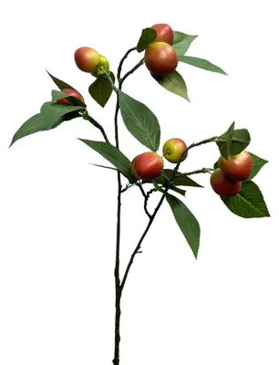 Immagine prodotto di Ramo artificiale di prugna 75 cm verde/rosso