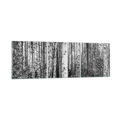 Produktbild von Bilder auf glas - 3 Teile - Birken Wald Monochrom - 120x40cm - Glasbilder - Wandbilder - Bilder - zum Aufhängen bereit - Wanddekoration aus Glas - Glas Bilder - Wandbild auf Glas - GCA120x40-4643