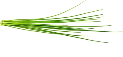 Produktbild von Click and Grow Pažítka, kapsule so semenami a substrátom 3ks