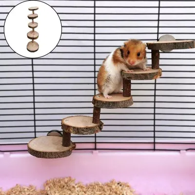 Natürliche Holzleiter mit 5 Ebenen für Nagetiere und Vögel. Sicheres Kau Spielzeug.