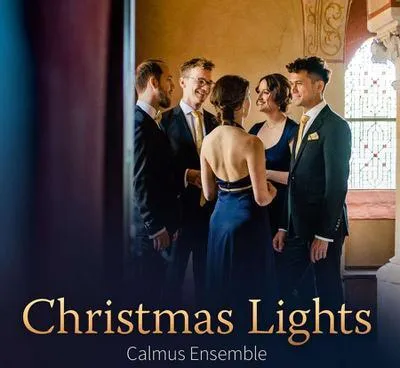 Produktbild von Christmas Lights