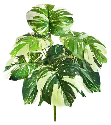 Productafbeelding van Kunstplant Monstera, 60 cm Kunstplant voor Binnen en Buiten