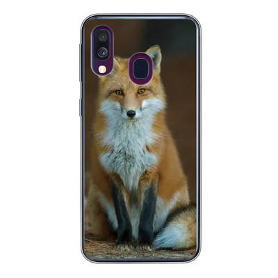 Produktbild von MuchoWow® Handyhülle Schutzhülle Hülle für Samsung Galaxy A40 Fuchs - Makro - Rot Silikon Softcase Handy Hülle - Handy-Tasche