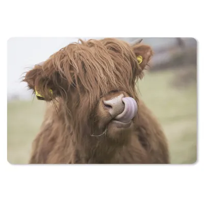 Produktbild von MuchoWow® Mauspad Mousepad Schottischer Highlander - Braun - Kuh 27x18 cm - Mousepads - Maus Mat - Pad - Mausunterlage - Büroartikel - Desk Matten