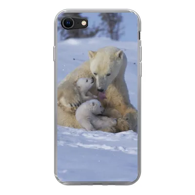 Produktbild von MuchoWow® Handyhülle Schutzhülle Hülle für iPhone SE 2020 Eisbären - Schnee - Weiß Silikon Softcase Handy Hülle - Kartenbesitzer