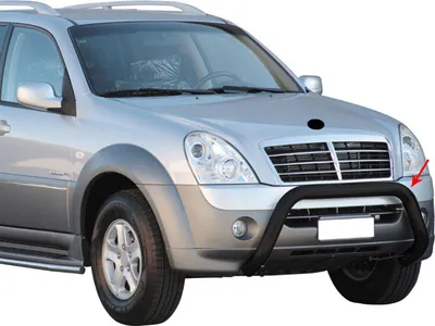 Obrázek produktu pro Ochranná lišta předního nárazníku pro Ssangyong Rexton 2006-2012 ø76mm ocelová černá