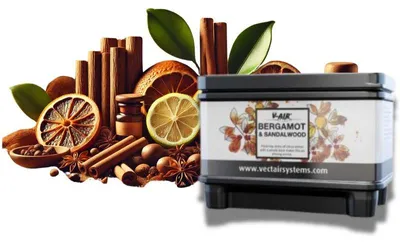 Produktbild von Vectair Solid Plus (vorher Omniscent®) Duftnachfüllung Aerosol frei geeignet für den Großraumbdeufter, Düfte:Bergamot & Sandalwood