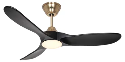 Obrázek produktu pro Stropní ventilátor CasaFan 312277 ECO GENUINO-L s osvětlením 122cm matně černý