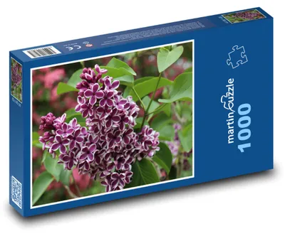 Obrázek produktu pro martinpuzzle - Puzzle 1000 - Šeřík - květ, keř