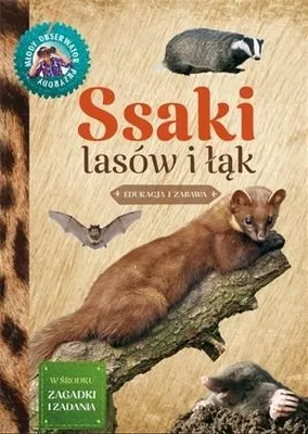 Immagine prodotto di Ssaki lasów i łąk Młody Obserwator Przyrody - Małgorzata Wilamowska (Kinder - Bildung auf Polnisch)